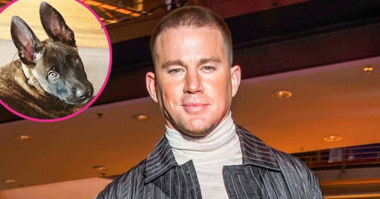 Furry Addition! Channing Tatum Adopts Sweet New Puppy Named Rooklin