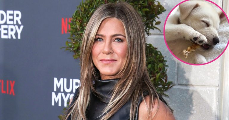 So Cute! Jennifer Aniston Introduces New Rescue Puppy Lord Chesterfield