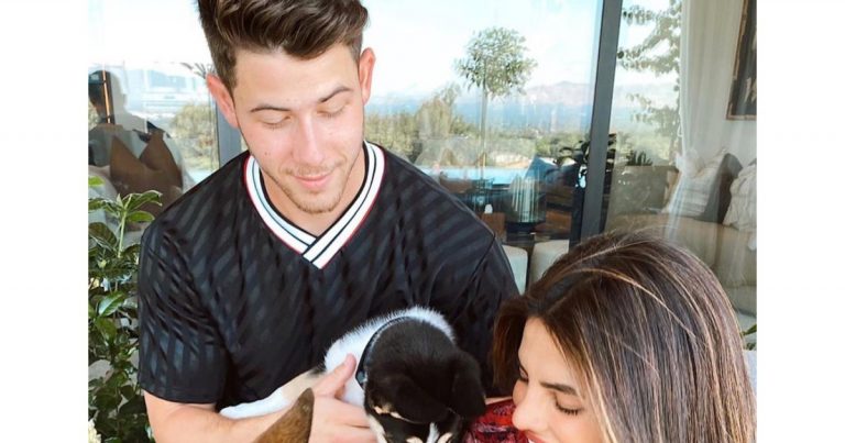 Stars Adopting or Fostering Pups Amid Coronavirus: Nick Jonas and More!