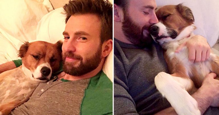 Chris Evans and His Dog Dodger: See Their Pawsome Friendship