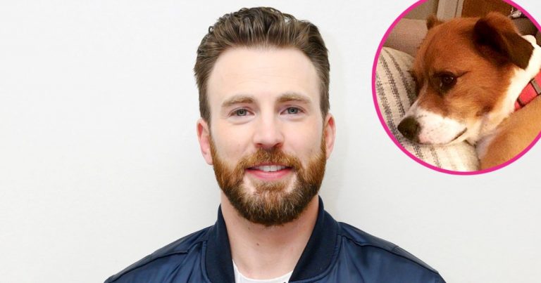 Shirtless Chris Evans Cuddles in Bed With His Pup Dodger