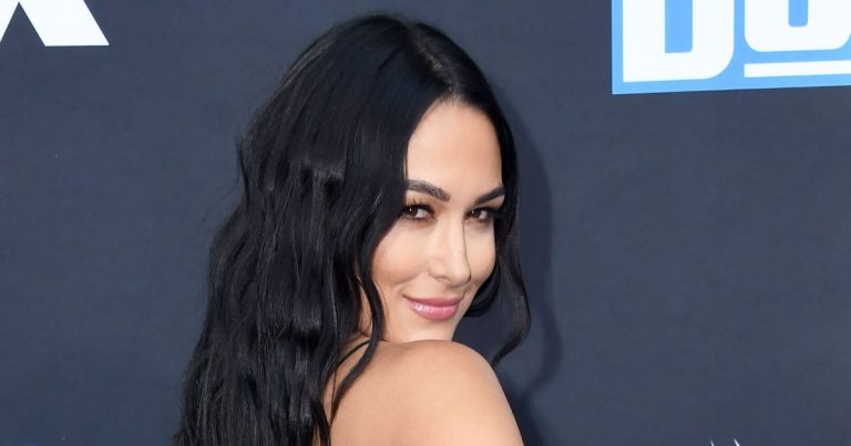 Brie Bella Had Her 'Tubes Cut' After Son's Birth: No 'More Babies'