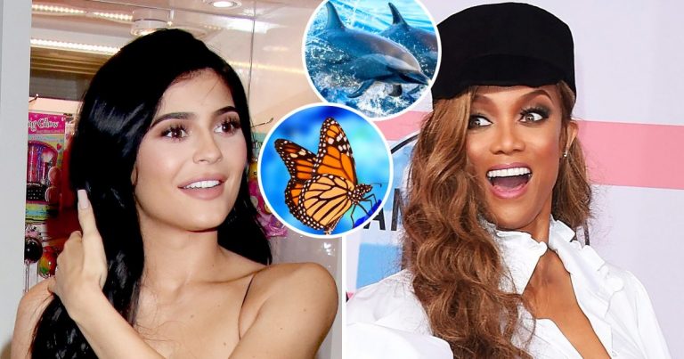 Celebrities' Biggest Phobias: Kylie Jenner, Tyra Banks and More