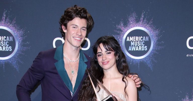 Camila Cabello Gushes Over Her 'Love' Shawn Mendes Amid Split Rumors