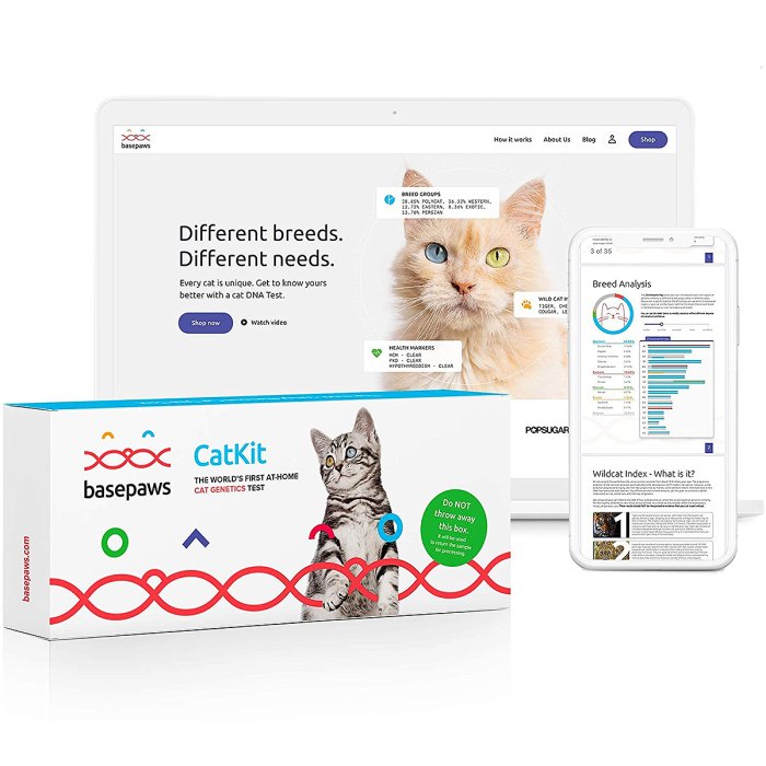 prime-day-basepaws-cat-dna