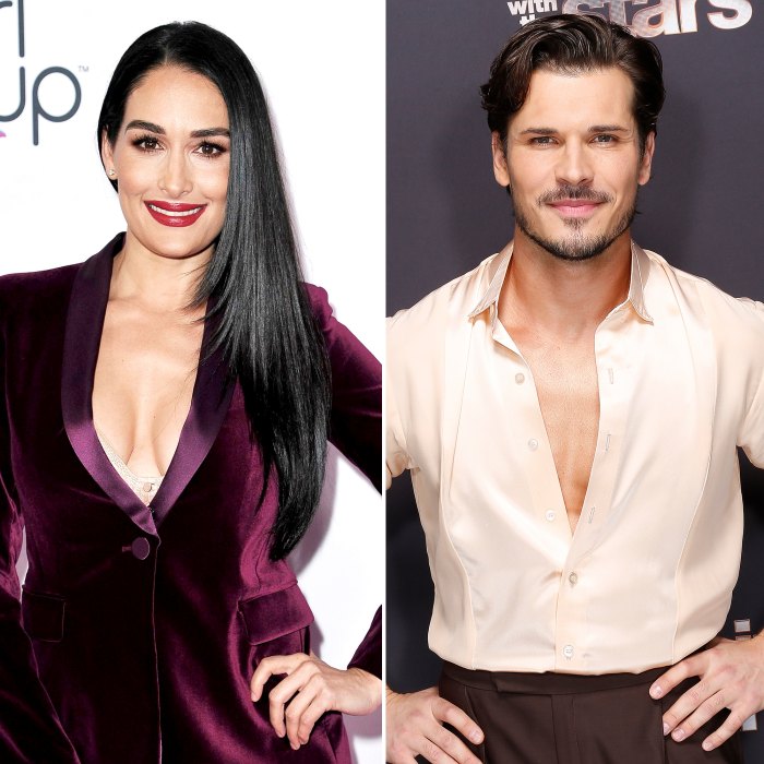 Nikki Bella People Will Blame Dance for Gleb Savchenko's Split