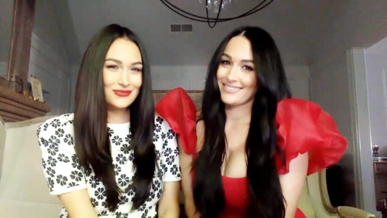 Nikki And Brie Bella – Are They Done Having Kids?