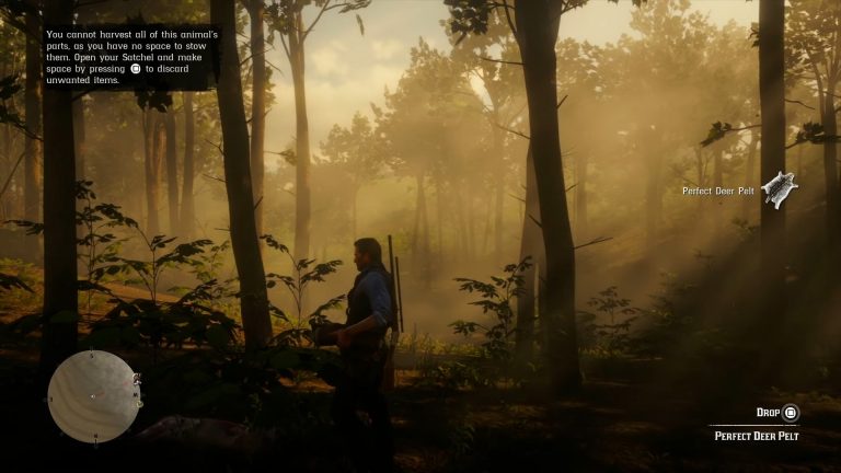 Obtaining Perfect Pelts In Red Dead Redemption 2: A Guide To Harvesting Fine Furs