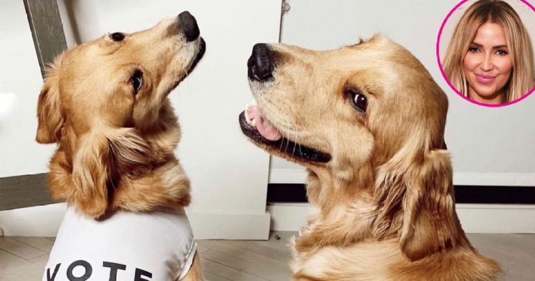 Kaitlyn Bristowe's Dogs Are Her Biggest 'DWTS' Fans, More Celebs With Pets