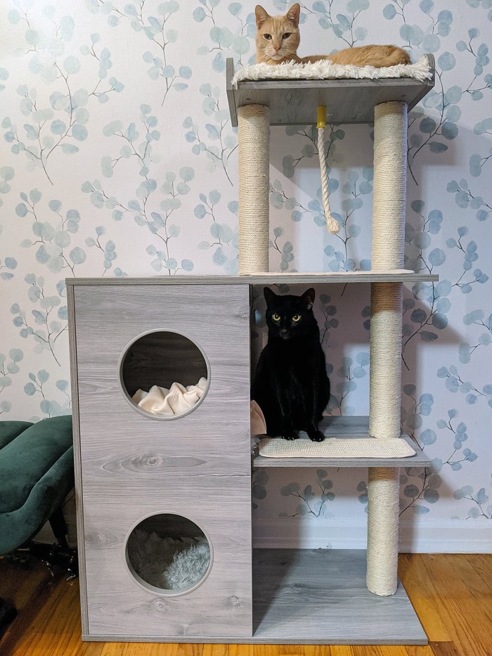 Frisco 52-in Modern Cat Tree & Condo