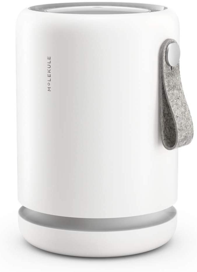 Molekule Air Mini Small Room Air Purifier