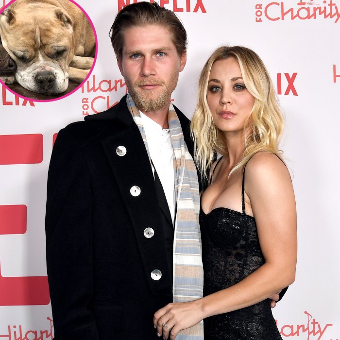 Kaley Cuoco Husband Karl Cook Mourn Death Their Rescue Dog Petunia