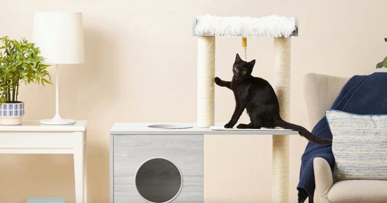 This Ultra-Modern Cat Tree Won’t Be an Eyesore in Your Home