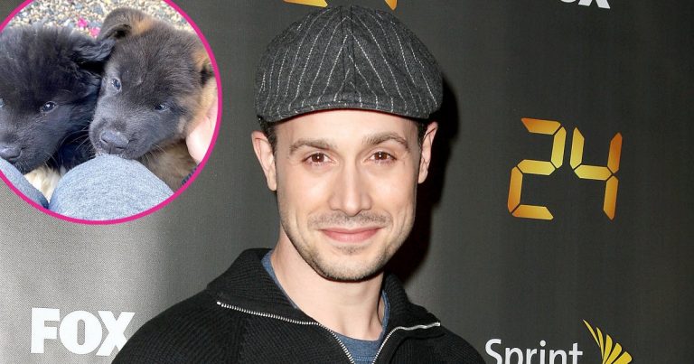 Freddie Prinze Jr. Says Having Puppies Is ‘Harder’ Than Raising Babies