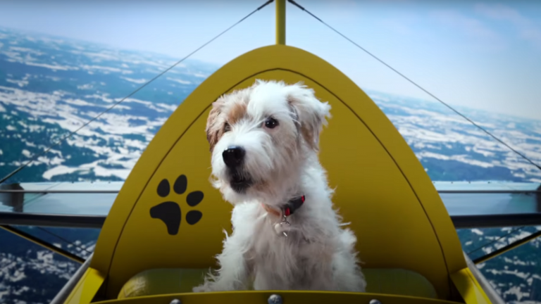 Microsoft Holiday Commercial Features Halo, Minecraft, And A Pile Of Puppers