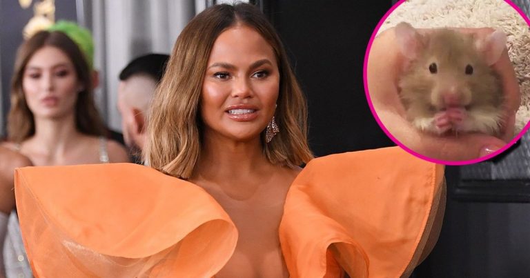 Chrissy Teigen: Our Family’s Hamster Peanut Butter Has Died