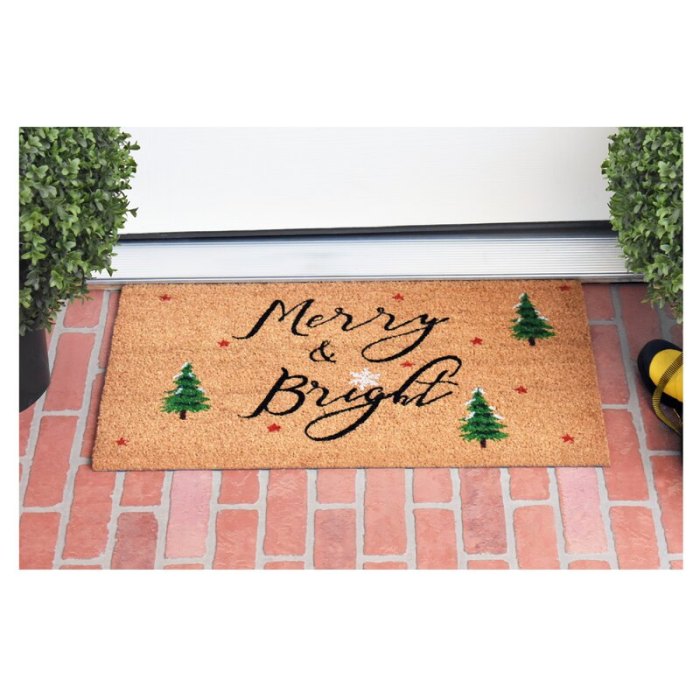 Hashtag Home Bradly Yule Non-Slip Outdoor Door Mat