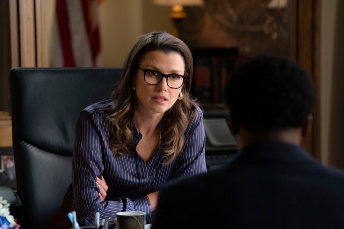 Blue Bloods to Tackle the Black Lives Matter Movement COVID-19 Bridget Moynahan