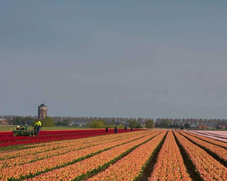 A farmer moved the border between France and Belgium so his tractor could have more room