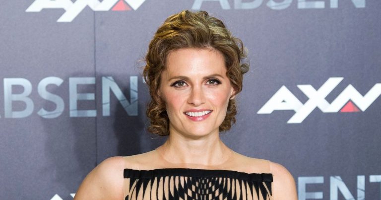 Castle's Stana Katic Secretly Welcomed 1st Child With Husband Kris Brkljac