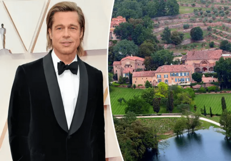 Brad Pitt spent a year scrutinizing for buried treasures in his French estate