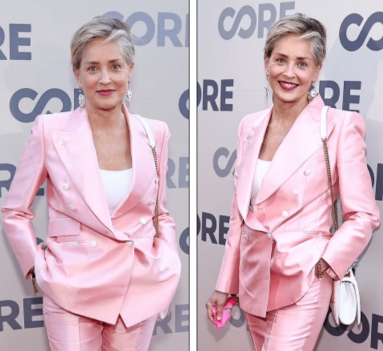 Sharon Stone, in a pink satin suit, attended a charity evening of Sean Penn