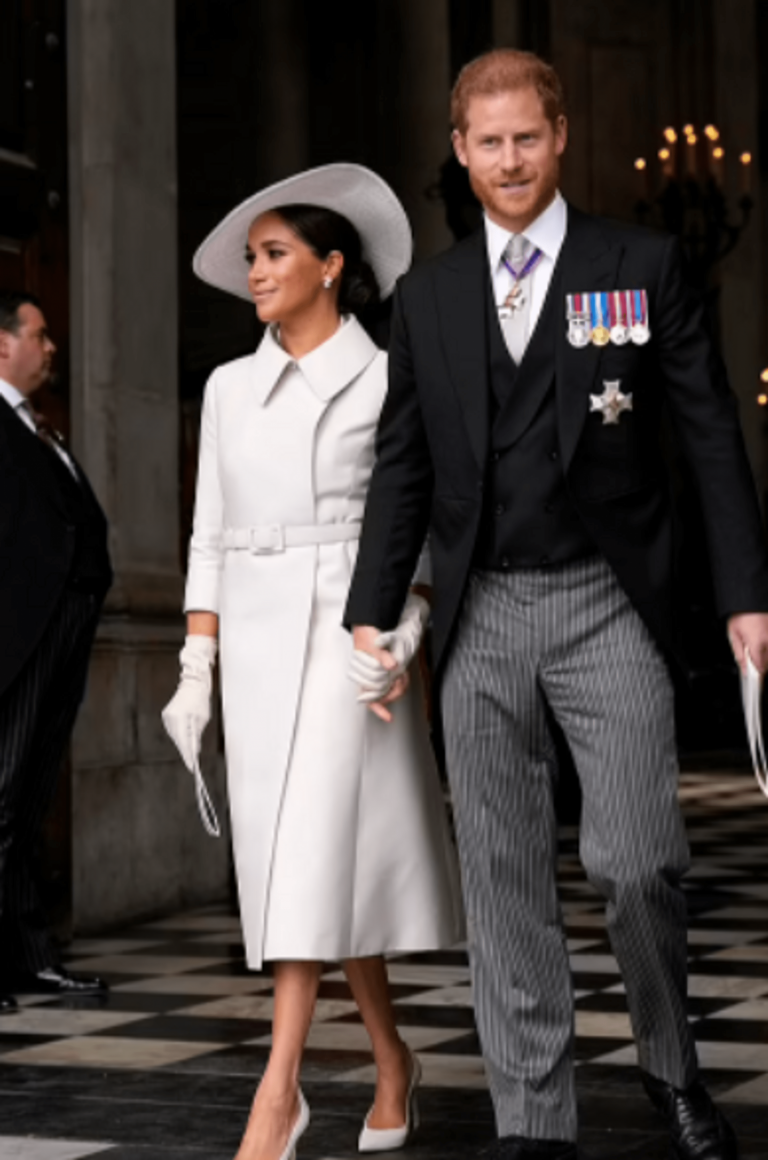 Why the popular streaming services are categorically dissatisfied with Meghan Markle and Prince Harry