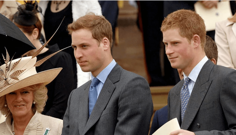 Instead of congratulations on his birthday, Prince Harry prepared a portion of claims for Prince William