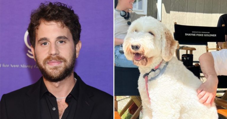 Camera-Ready Pup! Ben Platt and More Stars Bring Pets to Set