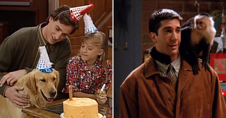 Comet! Marcel! Newton! Beloved TV Pets Through the Years