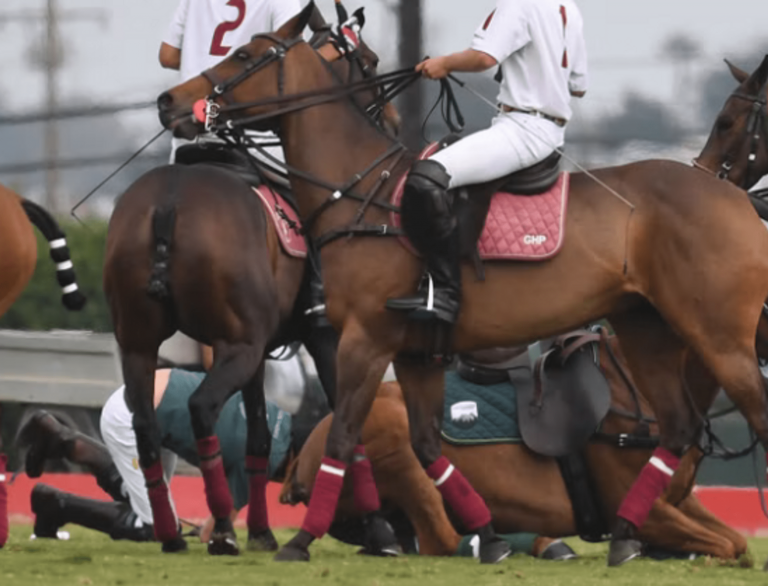 While playing polo, Prince Harry tumbled off his horse