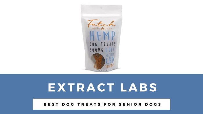 Extract Labs